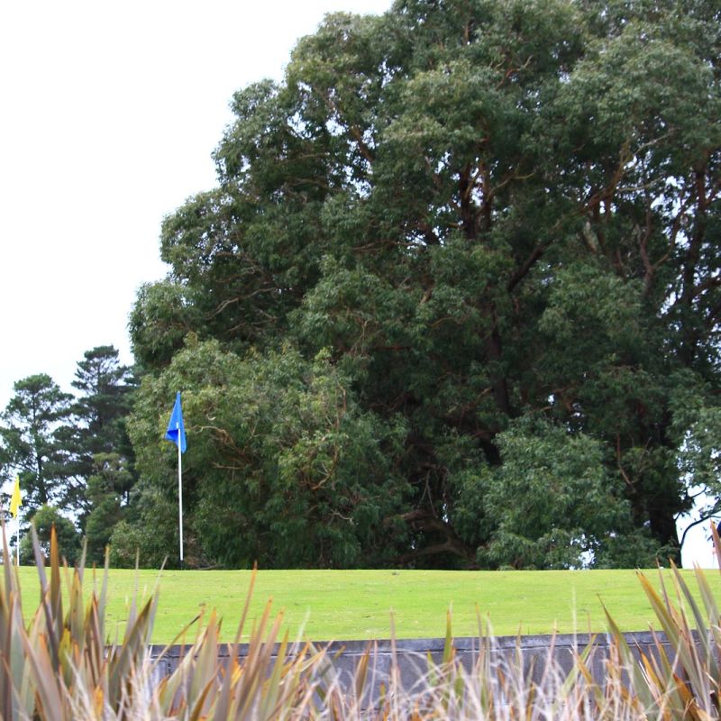 The Ballarat Golf Club in Alfredton Victoria is a great place to be