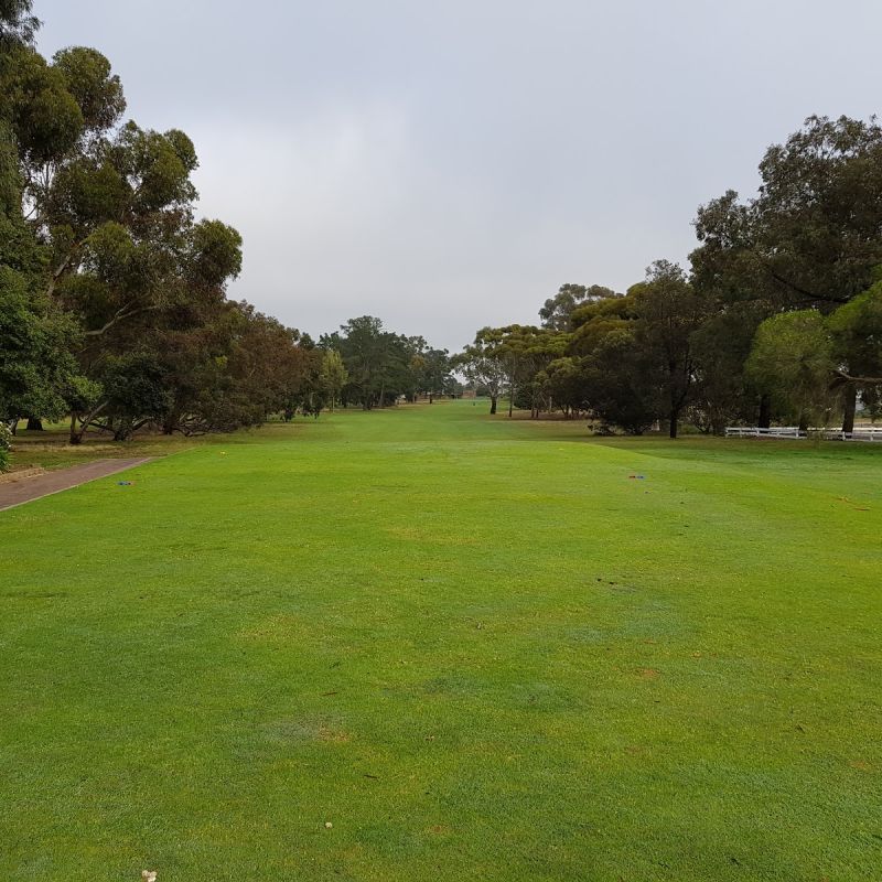 Having a great time at the Murray Bridge Golf Club in Murray Bridge South Australia