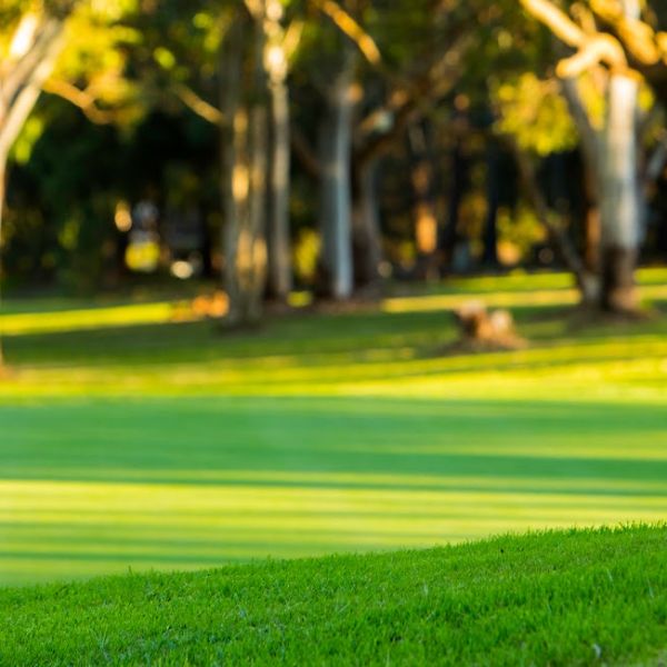 Gordon Golf Club in Gordon, New South Wales | Pokies Near Me