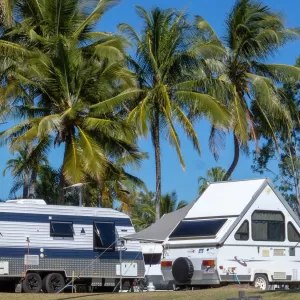 A relaxing photo of the pokies at the Halliday Bay Resort and Golf Course and RV Park in Haliday Bay, Queensland