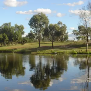 A relaxing photo of the pokies at the North Rockhampton Golf Club in Kawana, Queensland