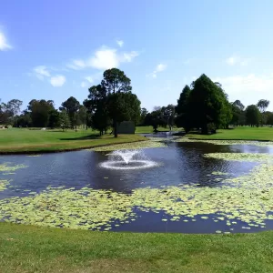 A relaxing photo of the pokies at the Pacific Golf Club in Carindale, Queensland