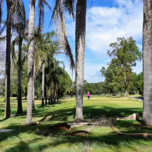 A relaxing photo of the pokies at the Muree Golf Club in Raymond Terrace, New South Wales