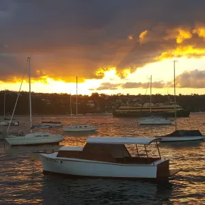 A relaxing photo of the pokies at the Manly 16ft Skiff Sailing Club in Manly, New South Wales