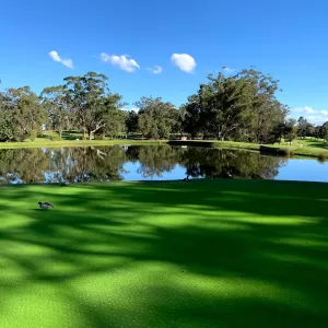 A relaxing photo of the pokies at the Muirfield Golf Club in North Rocks, New South Wales