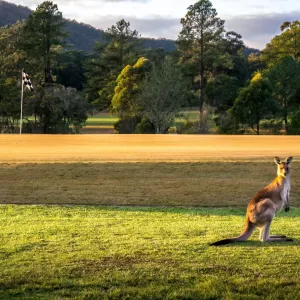 A relaxing photo of the pokies at the Bulahdelah Golf Club in Bulahdelah, New South Wales