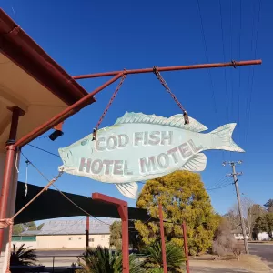 A relaxing photo of the pokies at the Codfish Hotel in Yetman, New South Wales