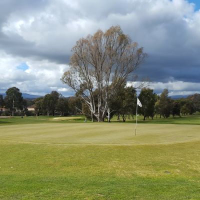 Pokies Near Me - Having a great time at the Mansfield Golf Club in Mansfield Victoria