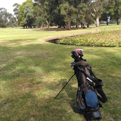 Pokies Near Me - Having a great time at the Robinvale Golf Club Resort in Robinvale Victoria