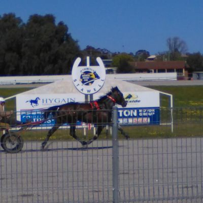 Pokies Near Me - Having a great time at the Stawell Harness Racing Club in Stawell Victoria